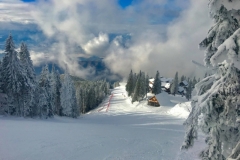 Partia-de-schi-si-snowboard-Lupului